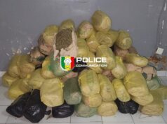 Sénégal: 91 kg de chanvre indien saisis