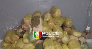 Sénégal: 91 kg de chanvre indien saisis