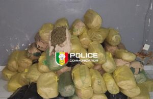 Sénégal: 91 kg de chanvre indien saisis