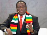 Zimbabwe: le Parlement ouvre la voie à un allongement du mandat présidentiel