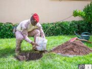 Capitaine Ibrahim Traoré: «Planter un arbre, c’est contribuer à la vie de l’humanité entière»