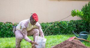 Capitaine Ibrahim Traoré: «Planter un arbre, c’est contribuer à la vie de l’humanité entière»