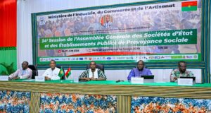 Burkina: les sociétés d’Etat réalisent une progression de 80,30 % de leurs chiffres d’affaires
