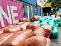 Près de 5 tonnes de cannabis d’une valeur de plus de 5 milliards de F CFA interceptées