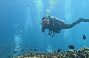 «L’océan n’a pas de frontières»: beauté et vie en zone de guerre