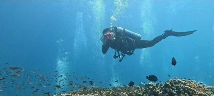 «L’océan n’a pas de frontières»: beauté et vie en zone de guerre