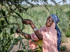 Climat: l’ONU veut accélérer le financement de l’adaptation