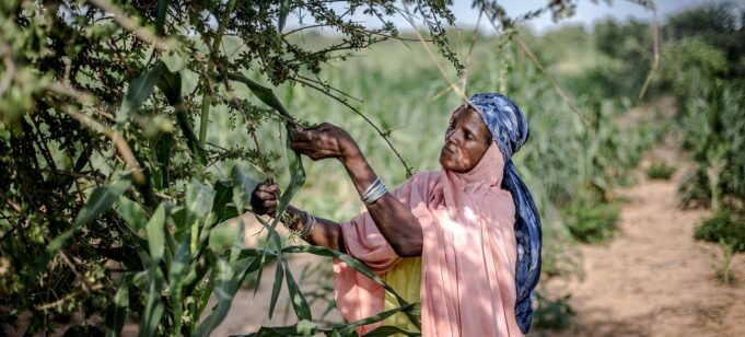 Climat: l’ONU veut accélérer le financement de l’adaptation