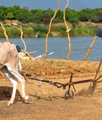 Le conflit au Moyen-Orient fait payer le prix fort aux pays en développement