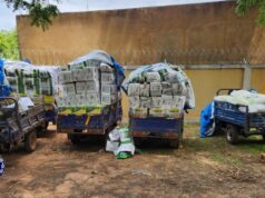 Burkina: saisie d’importante quantité de pesticides et d’engrais d’une valeur de 11 000 000 F CFA à Pô