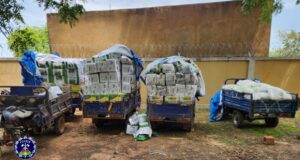 Burkina: saisie d’importante quantité de pesticides et d’engrais d’une valeur de 11 000 000 F CFA à Pô