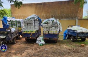 Burkina: saisie d’importante quantité de pesticides et d’engrais d’une valeur de 11 000 000 F CFA à Pô