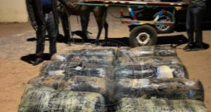 360 kg de drogue saisie, les trafiquants en fuite