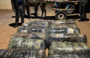 360 kg de drogue saisie, les trafiquants en fuite