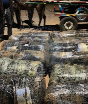 360 kg de drogue saisie, les trafiquants en fuite