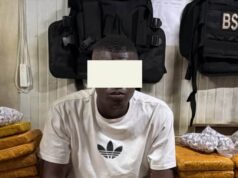Un individu interpellé avec 50 blocs de cannabis