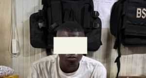 Un individu interpellé avec 50 blocs de cannabis