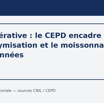IA générative: le CEPD encadre l’anonymisation et le moissonnage des données
