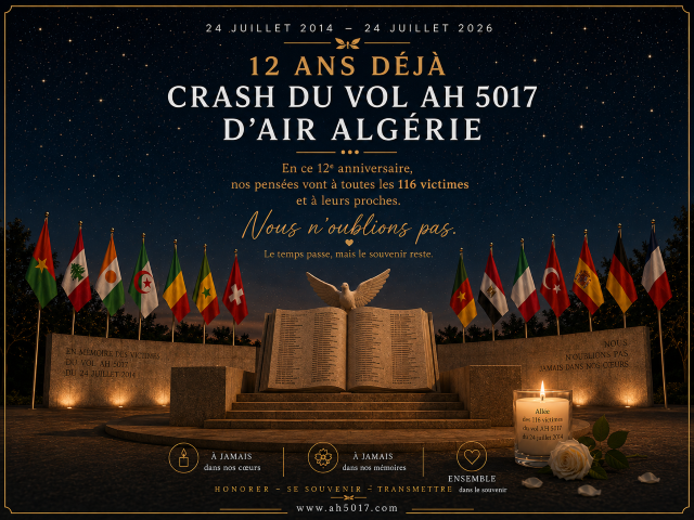 IMAGE CRASH AIR ALGER