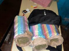 Lutte antidrogue: 31 suspects interpellés en deux semaines