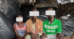Trois suspects arrêtés et des fumoirs démantelés lors d’une opération antidrogue