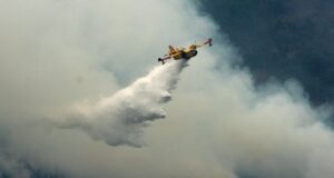 Près de 6 millions d’hectares ravagés par les flammes en Europe et en Amérique du Nord, selon l’ONU