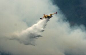 Près de 6 millions d’hectares ravagés par les flammes en Europe et en Amérique du Nord, selon l’ONU