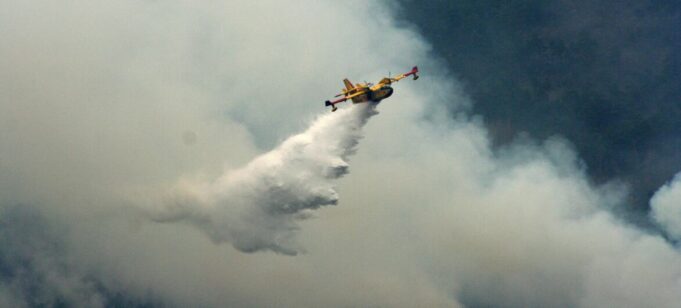 Près de 6 millions d’hectares ravagés par les flammes en Europe et en Amérique du Nord, selon l’ONU
