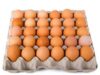 Burkina: voici combien coûtent les œufs des poules pondeuses