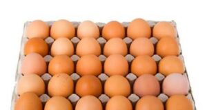 Burkina: voici combien coûtent les œufs des poules pondeuses