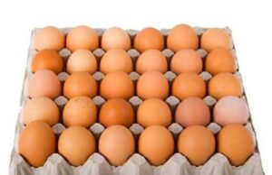 Burkina: voici combien coûtent les œufs des poules pondeuses