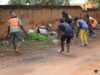 Ouagadougou: environ 2 000 têtes d’animaux mises en fourrière en trois mois
