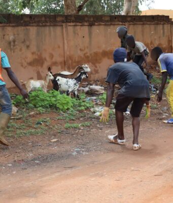 Ouagadougou: environ 2 000 têtes d’animaux mises en fourrière en trois mois