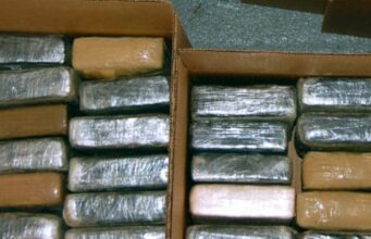 95 kg de cocaïne interceptés à l’aéroport de Johannesburg