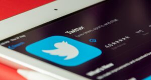 Twitter renaît de ses cendres, Elon Musk contre-attaque en justice