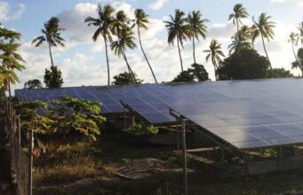 Énergies renouvelables: et si la transition verte pouvait aussi restaurer les terres ?