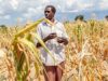 El Niño menace 49 millions de personnes de faim, le PAM intensifie sa riposte