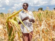 El Niño menace 49 millions de personnes de faim, le PAM intensifie sa riposte