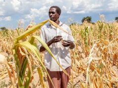 El Niño menace 49 millions de personnes de faim, le PAM intensifie sa riposte