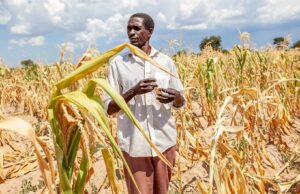 El Niño menace 49 millions de personnes de faim, le PAM intensifie sa riposte