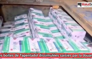 Burkina: saisie de boîtes de Tapentadol dissimulées dans un car