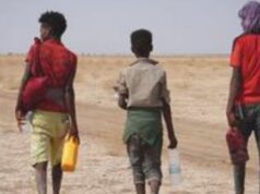 Droit au développement : les inégalités persistent