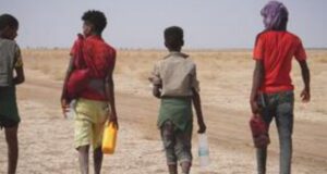 Droit au développement : les inégalités persistent