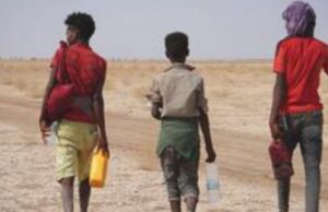 Droit au développement : les inégalités persistent