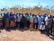 Burkina: vers une agriculture durable et résiliente, l’oeuvre d’une chercheure