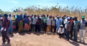 Burkina: vers une agriculture durable et résiliente, l’oeuvre d’une chercheure
