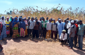 Burkina: vers une agriculture durable et résiliente, l’oeuvre d’une chercheure