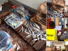 Burkina/Contrôle: un camion saisi à Dori