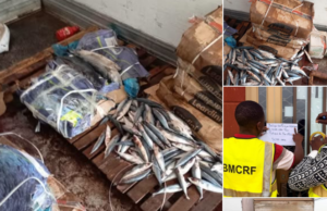 Burkina: un camion saisi à Dori