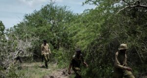 Six cadavres dans une fosse commune, le macabre mystère qui secoue la Guinée